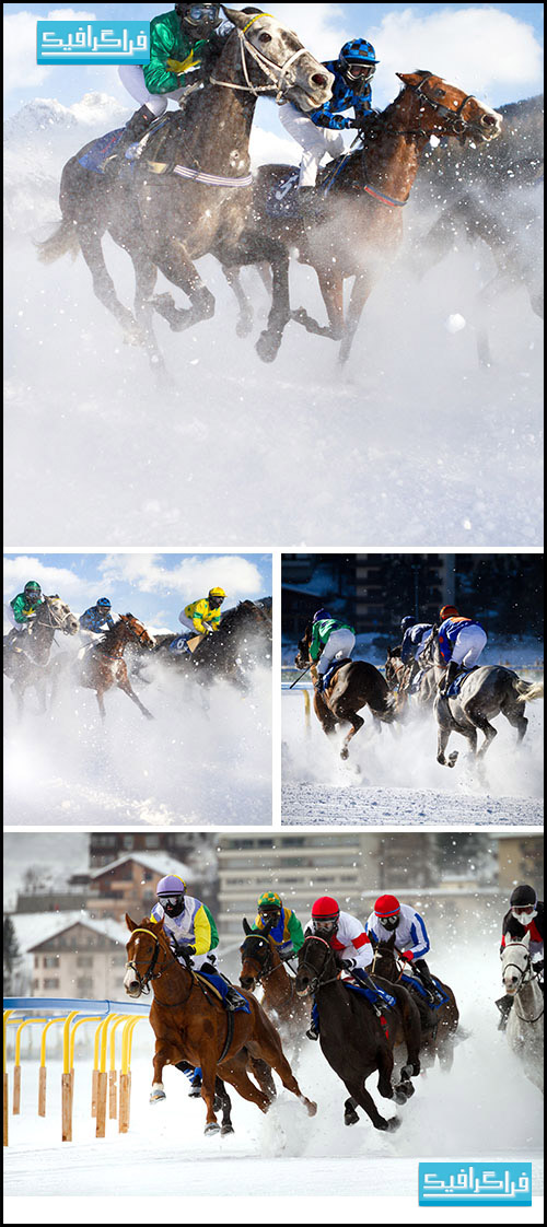 دانلود تصاویر استوک مسابقه سوارکاری با اسب روی برف