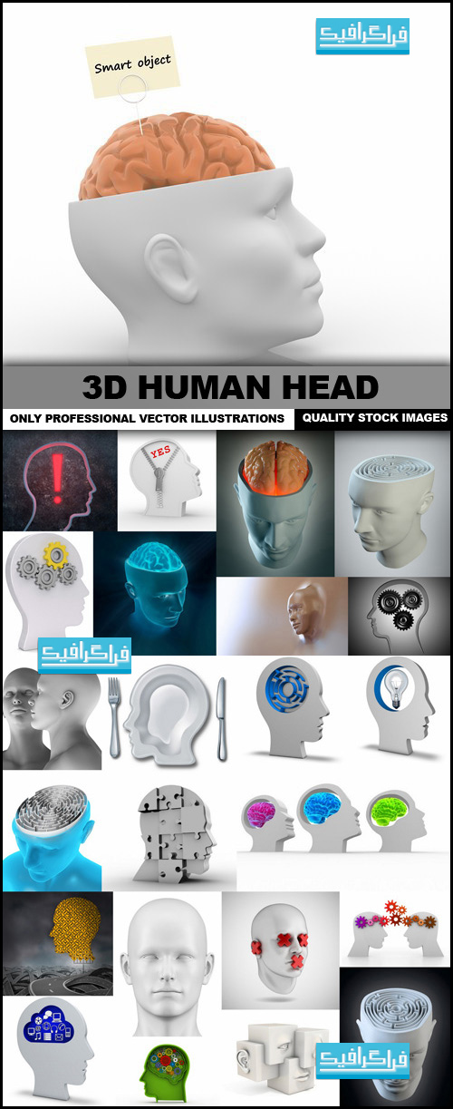 دانلود تصاویر استوک مغز و سر انسان سه بعدی