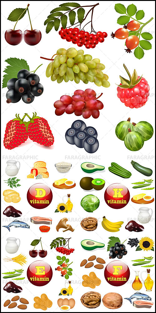 وکتور های میوه و سبزیجات