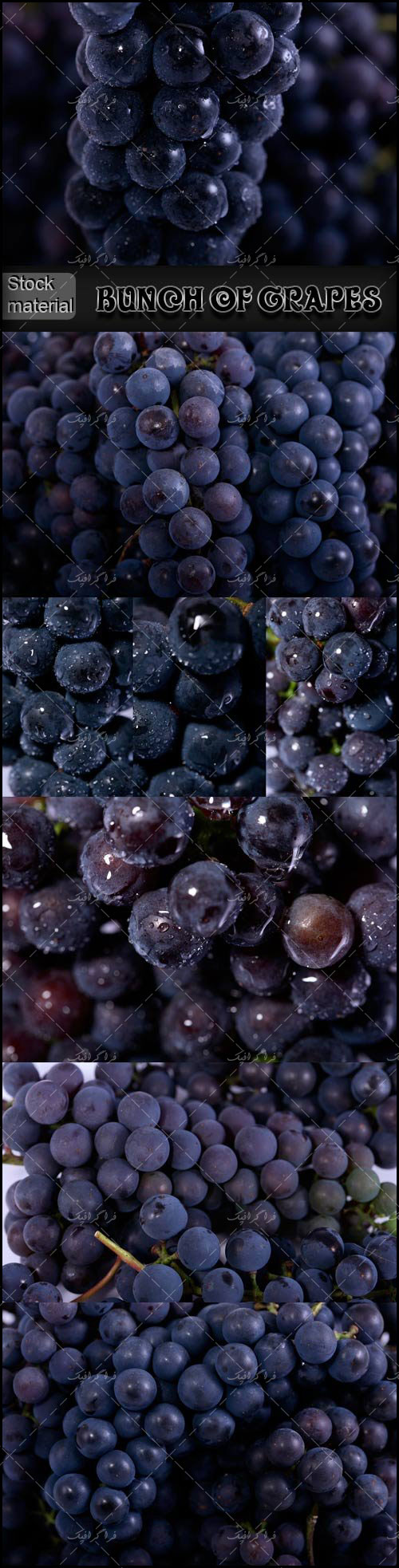 دانلود تصاویر استوک انگور با قطرات آب