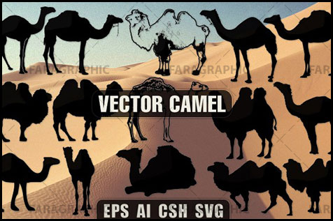 دانلود وکتور های شتر - طرح سایه - Camel