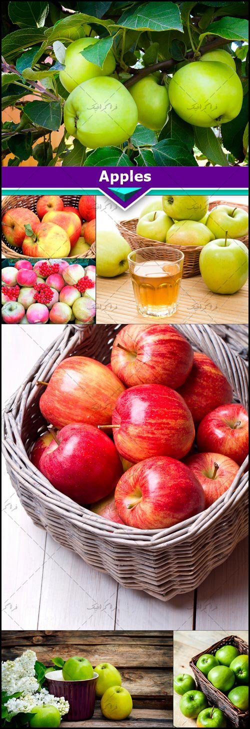 دانلود تصاویر استوک سیب - شماره 2