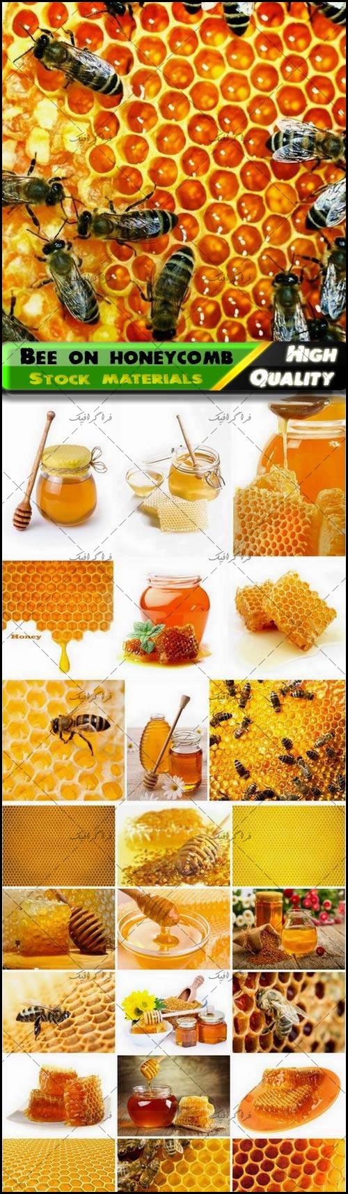 دانلود تصاویر استوک عسل و زنبور عسل