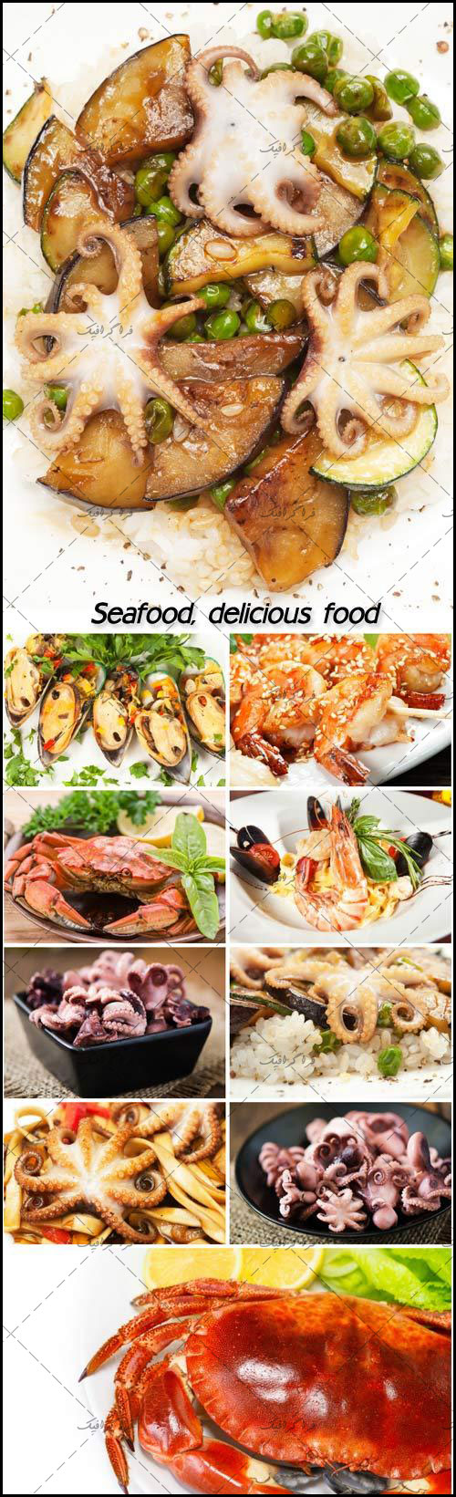 تصاویر استوک غذا های دریایی - شماره 4