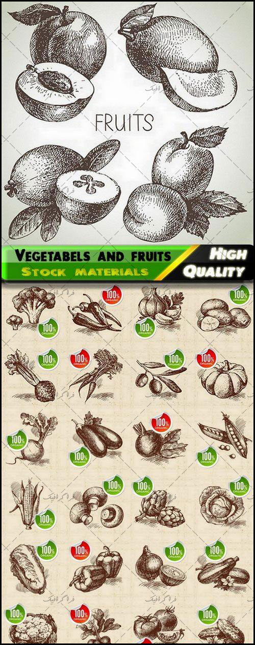 وکتور های میوه و سبزیجات - ترسیمی - شماره 2