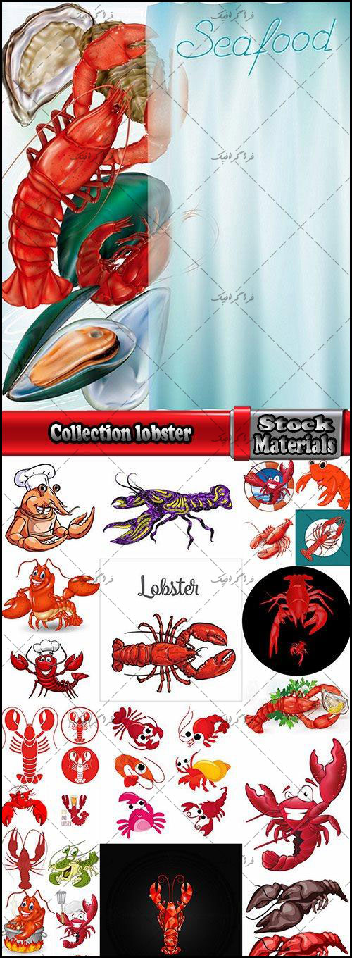 دانلود وکتور های خرچنگ خوراکی - Lobster Vectors