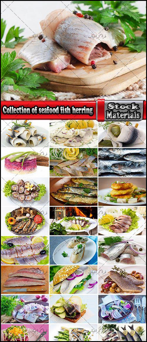 دانلود تصاویر استوک غذا های دریایی و ماهی