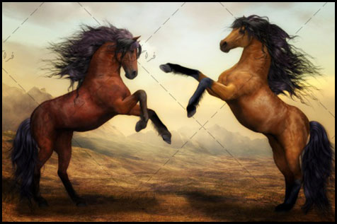 دانلود والپیپر دسکتاپ نقاشی 2 اسب زیبا