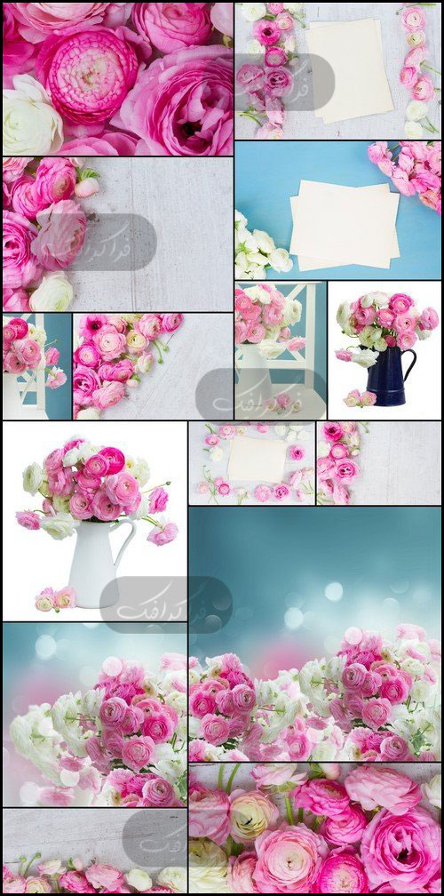 دانلود تصاویر استوک گل های صورتی