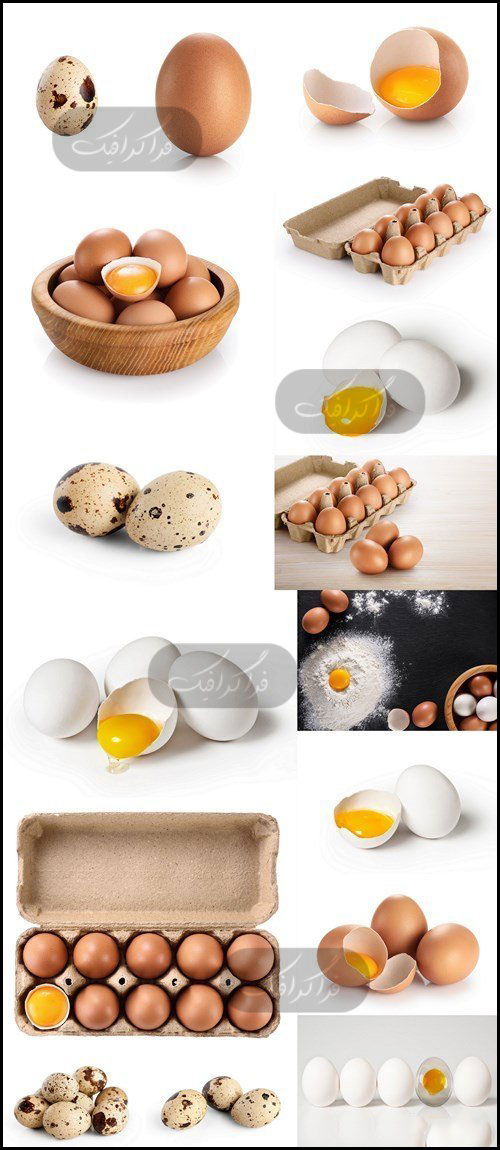 دانلود تصاویر استوک تخم مرغ و تخم بلدرچین