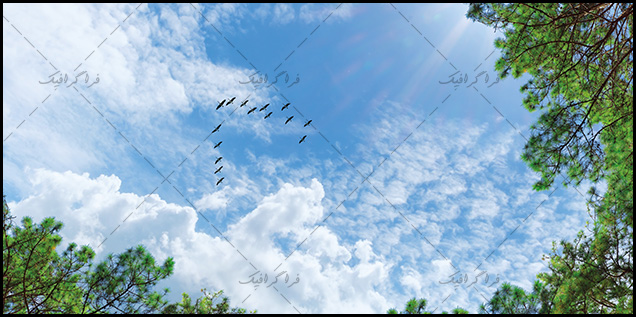 تصویر آسمان مجازی - طرح درخت - پرندگان - شماره 2