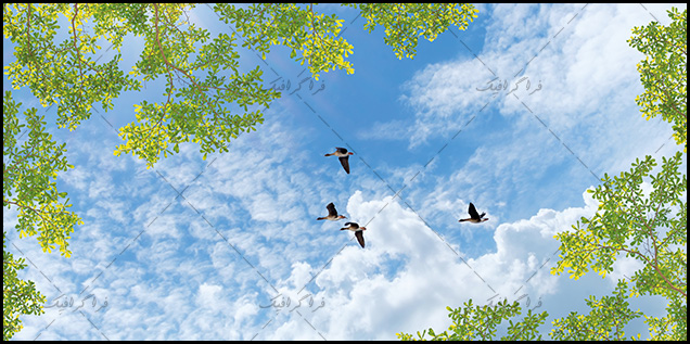 تصویر آسمان مجازی - طرح درخت - پرندگان - شماره 3