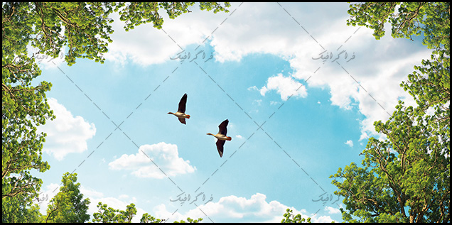 تصویر آسمان مجازی - طرح درخت - پرندگان - شماره 4