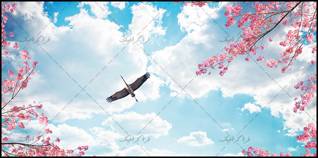 تصویر آسمان مجازی - طرح شکوفه - پرنده درنا