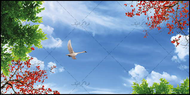 تصویر آسمان مجازی - طرح درخت - مرغابی