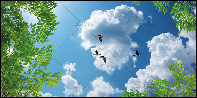 تصویر آسمان مجازی - طرح درخت - مرغابی ها