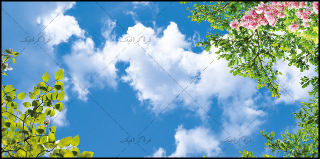 تصویر آسمان مجازی - طرح آسمان - درخت - شکوفه