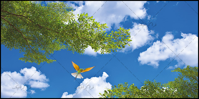 تصویر آسمان مجازی - طرح درخت - مرغ مگس خوار