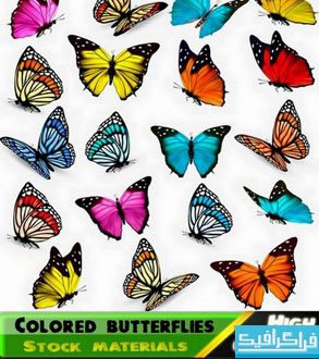 دانلود وکتور پروانه های رنگارنگ