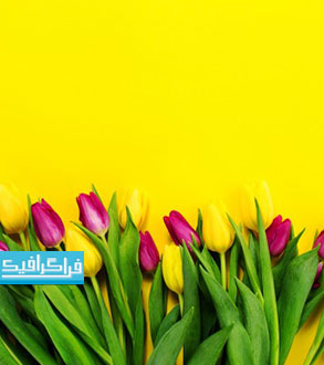 تصویر استوک گل های زیبا روی پس زمینه زرد - رایگان