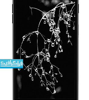 دانلود مدل سه بعدی گوشی موبایل iPhone Plus Black
