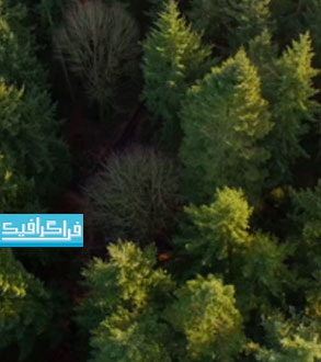دانلود ویدیو فوتیج پرواز روی جنگل - رایگان