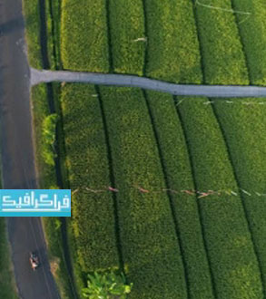 دانلود ویدیو فوتیج فیلمبرداری هوایی از مزراع - رایگان