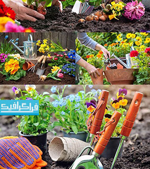 دانلود تصاویر استوک باغبانی و گل کاشتن - رایگان