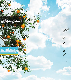 تصویر آسمان مجازی - طرح درخت پرتقال - پرندگان