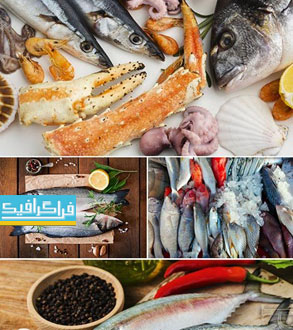 دانلود تصاویر استوک ماهی تازه - Fresh Fish Stock Images