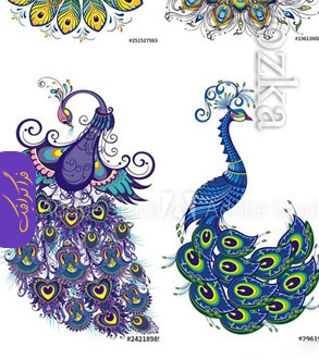 دانلود وکتور های طاووس هنری