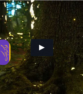 دانلود ویدیو فوتیج جنگل جادویی و نورانی