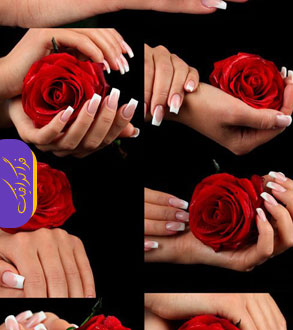 دانلود تصاویر استوک گل رز قرمز در دست زن