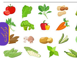 دانلود 30 وکتور سبزیجات و صیفی جات