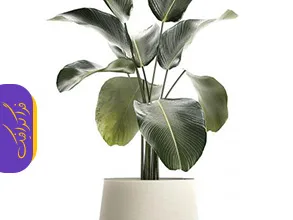 دانلود مدل سه بعدی گیاه و گلدان - شماره 9
