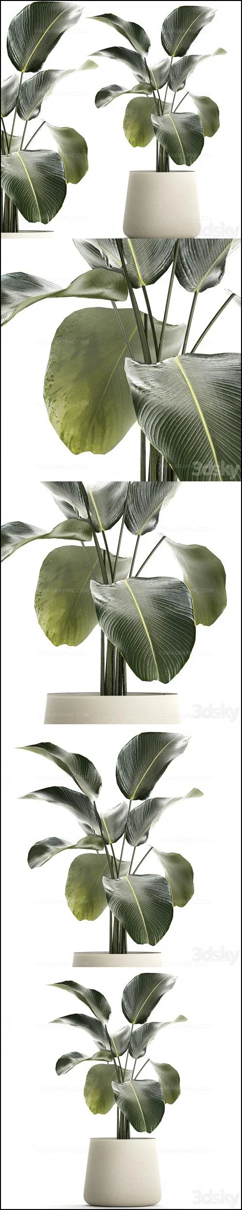 دانلود مدل سه بعدی گیاه و گلدان - شماره 9